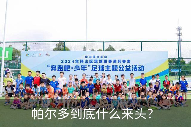 帕尔多到底什么来头？